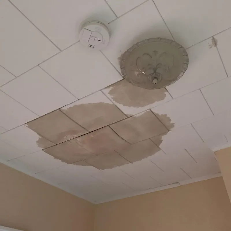 Ceiling Water Damage Repair in Shenandoah, PA