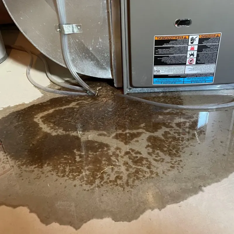 Pipe Burst and Leak Restoration in Shenandoah, PA