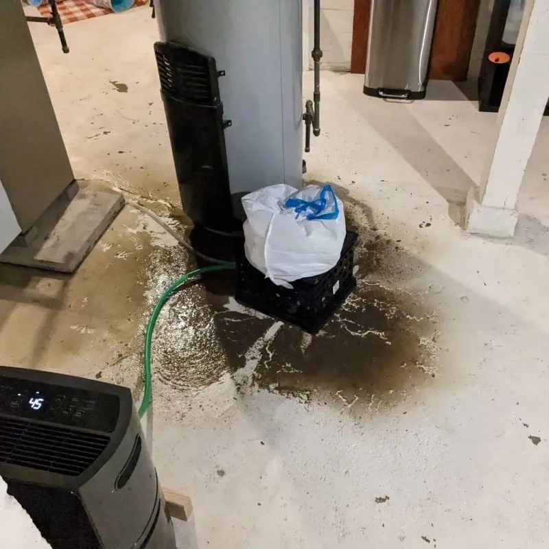 Sewage Backup Cleanup Service in Shenandoah, PA